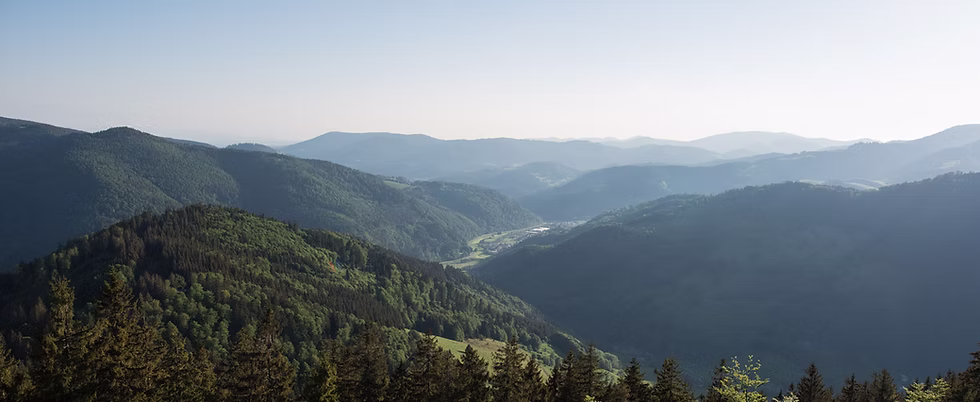 Schwarzwald